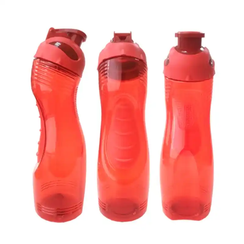 Tomatodo ICP Tomatodo ICP